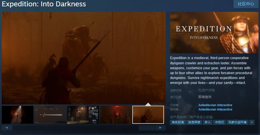 第三人称合作地牢探索游戏《Expedition: Into Darkness》Steam页面今日公布，发售日期待定！