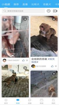 猛犬俱乐部截图