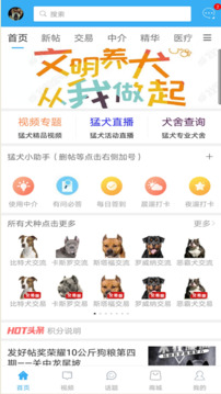 猛犬俱乐部截图