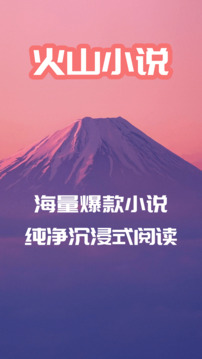 火山小说截图