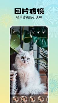 奇趣相机截图