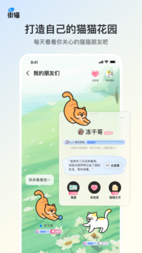 街猫截图