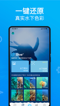 Dive+潜水截图